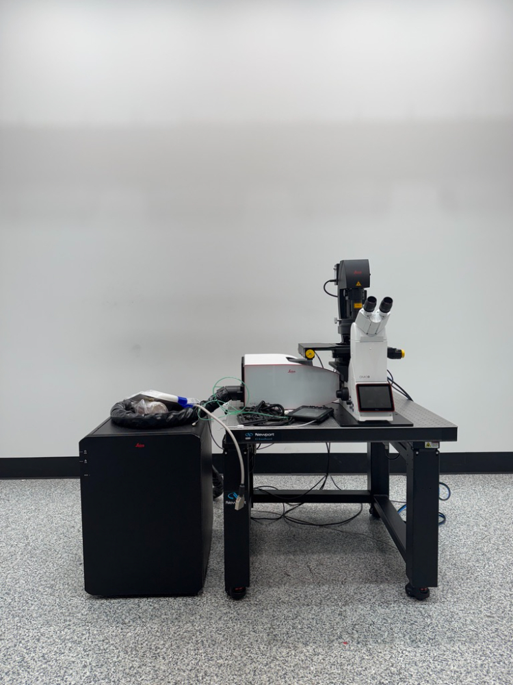 Image of Leica Stellaris Confocal Laser Scanning Microscope System